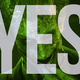 Image for article titled Should You Buy Batman: Arkham City? Yes